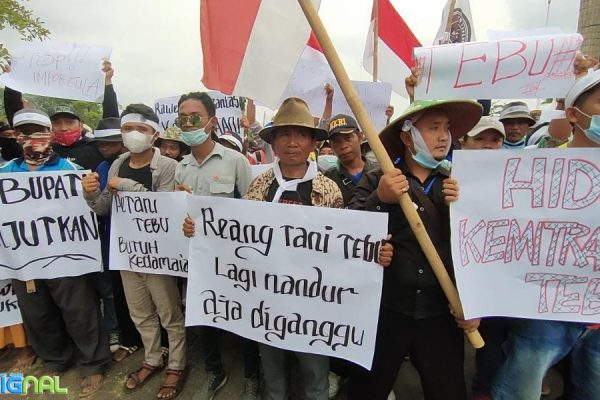 Ribuan Petani Tebu Indramayu Gruduk Kantor Bupati