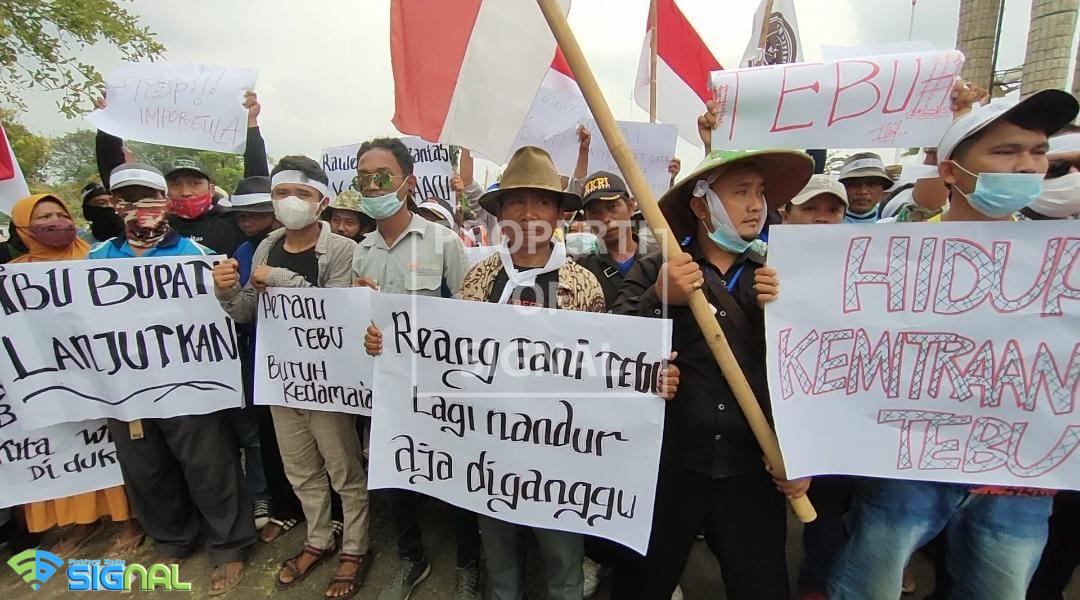 Ribuan Petani Tebu Indramayu Gruduk Kantor Bupati Ribuan Petani Tebu Indramayu Gruduk Kantor Bupati