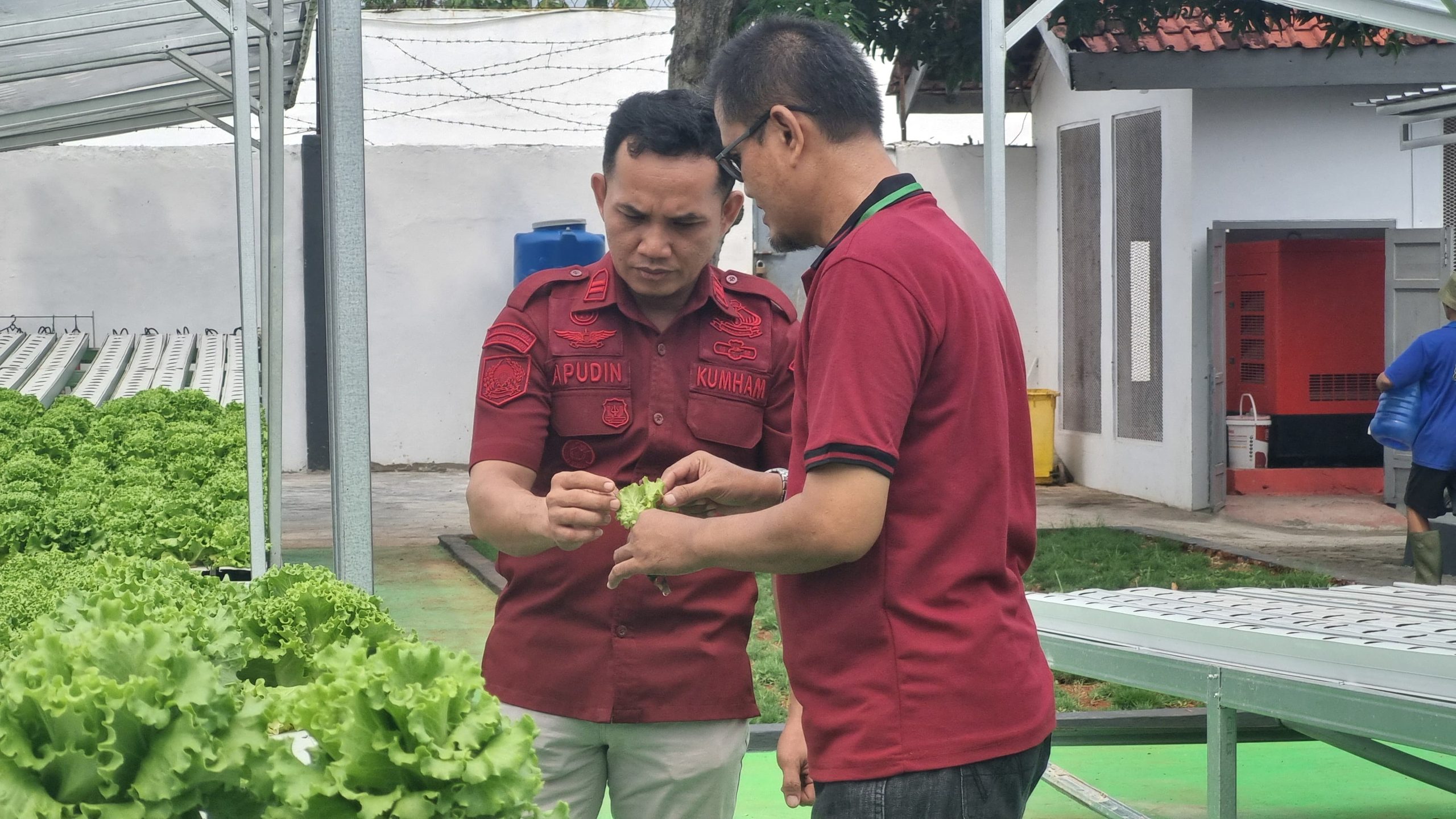 Lapas Indramayu Terima Kunjungan Monitoring Hidroponik dari PT. Kilang Pertamina Internasional Balongan Lapas Indramayu Terima Kunjungan Monitoring Hidroponik dari PT. Kilang Pertamina Internasional Balongan