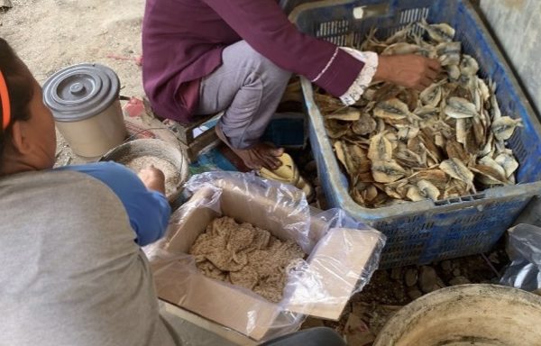 Dendeng Ikan Manis, Makanan Unik Khas Eretan Wetan Indramayu yang Menggugah Selera dan Penghasil Cuan