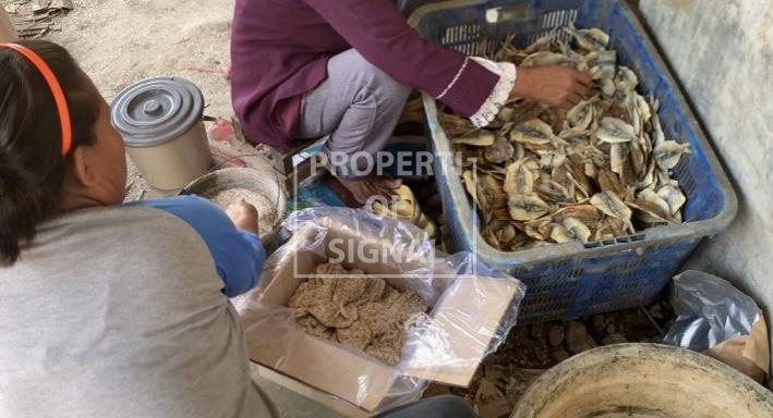 Dendeng Ikan Manis, Makanan Unik Khas Eretan Wetan Indramayu yang Menggugah Selera dan Penghasil Cuan Dendeng Ikan Manis, Makanan Unik Khas Eretan Wetan Indramayu yang Menggugah Selera dan Penghasil Cuan
