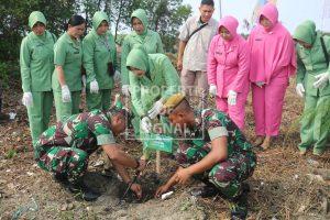 Peringati HUT Ke-78 Arhanud TNI-AD, Dandim 0616/Indramayu Gelar Karya Bhakti Penanaman Mangrove. Peringati HUT Ke-78 Arhanud TNI-AD, Dandim 0616/Indramayu Gelar Karya Bhakti Penanaman Mangrove.