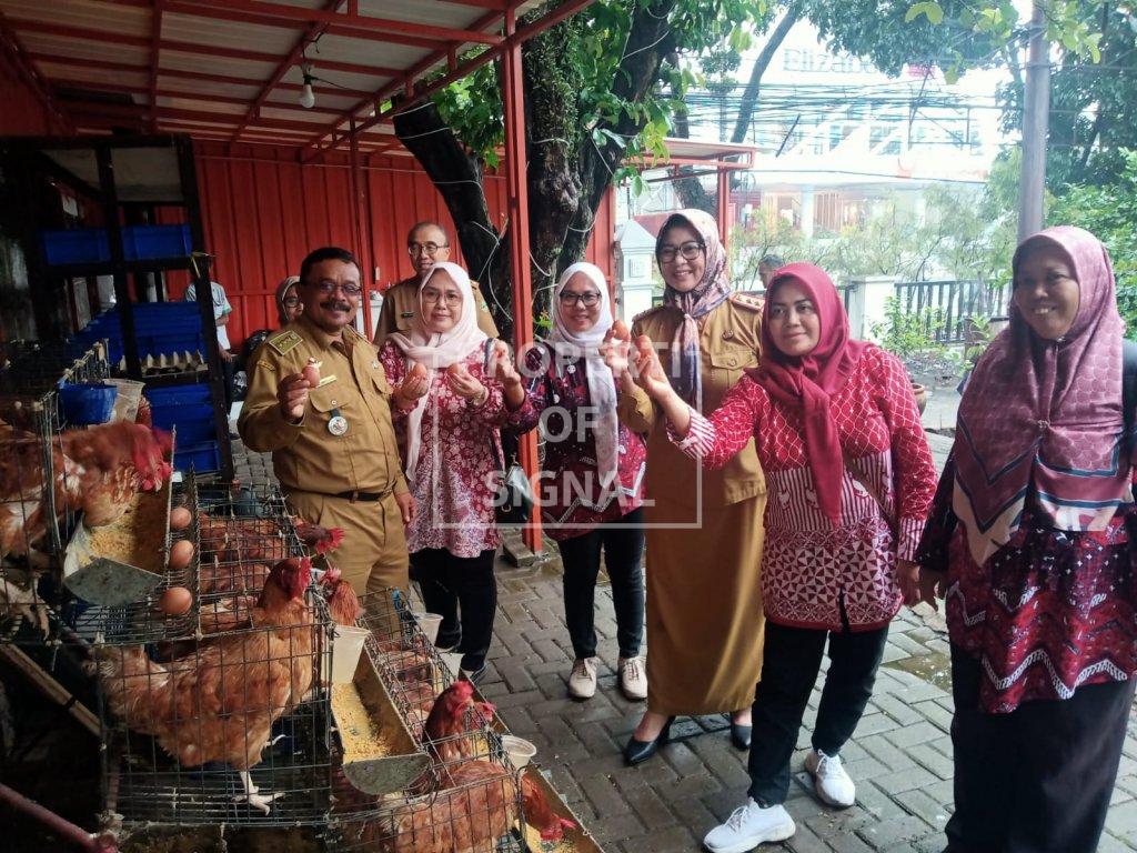 Ternak Ayam Petelur di Halaman Kantor, Cara Camat Lohbener Tingkatkan Gizi Anak Stunting Ternak Ayam Petelur di Halaman Kantor, Cara Camat Lohbener Tingkatkan Gizi Anak Stunting
