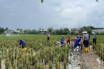Lapas Indramayu Matangkan Lahan SAE Persawahan Wujudkan Ketahanan Pangan