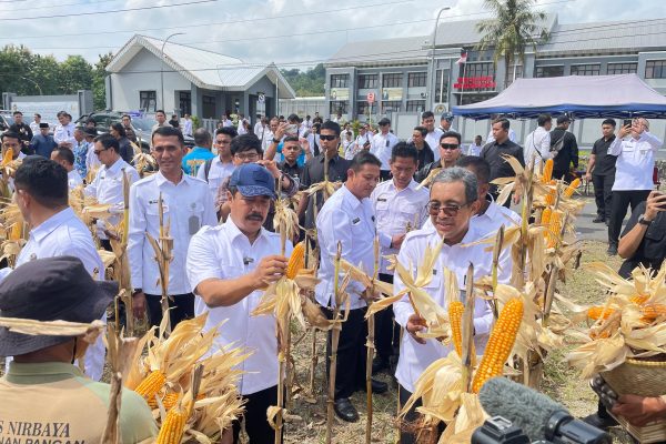 Nusakambangan Panen Perdana, Bangun Lumbung Ketahanan Pangan & Beri Kesempatan Warga Binaan