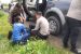 ODGJ Bawa Kabur Motor Ojol, Berakhir Damai di Polsek Juntinyuat Polres Indramayu