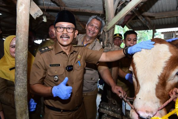 Jelang Iduladha, Wabup Syaefudin Monitoring Ketersediaan dan Kesehatan Hewan Qurban