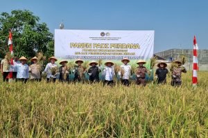 Lapas Indramayu Hasilkan 3 Ton Gabah dan 1.7 Ton Ikan Lele Pada Panen Perdana Program Ketahanan Pangan