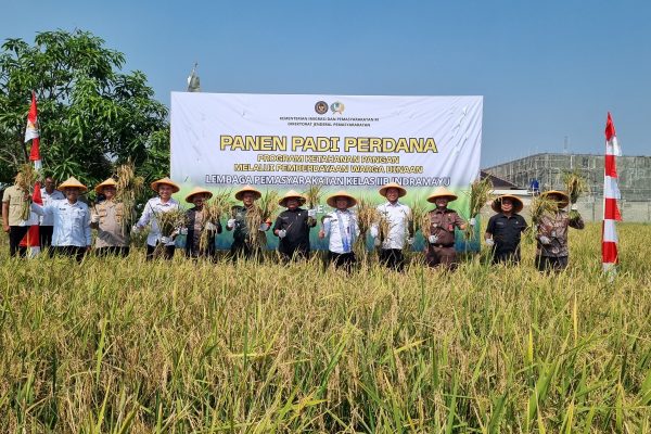 Lapas Indramayu Hasilkan 3 Ton Gabah dan 1.7 Ton Ikan Lele Pada Panen Perdana Program Ketahanan Pangan