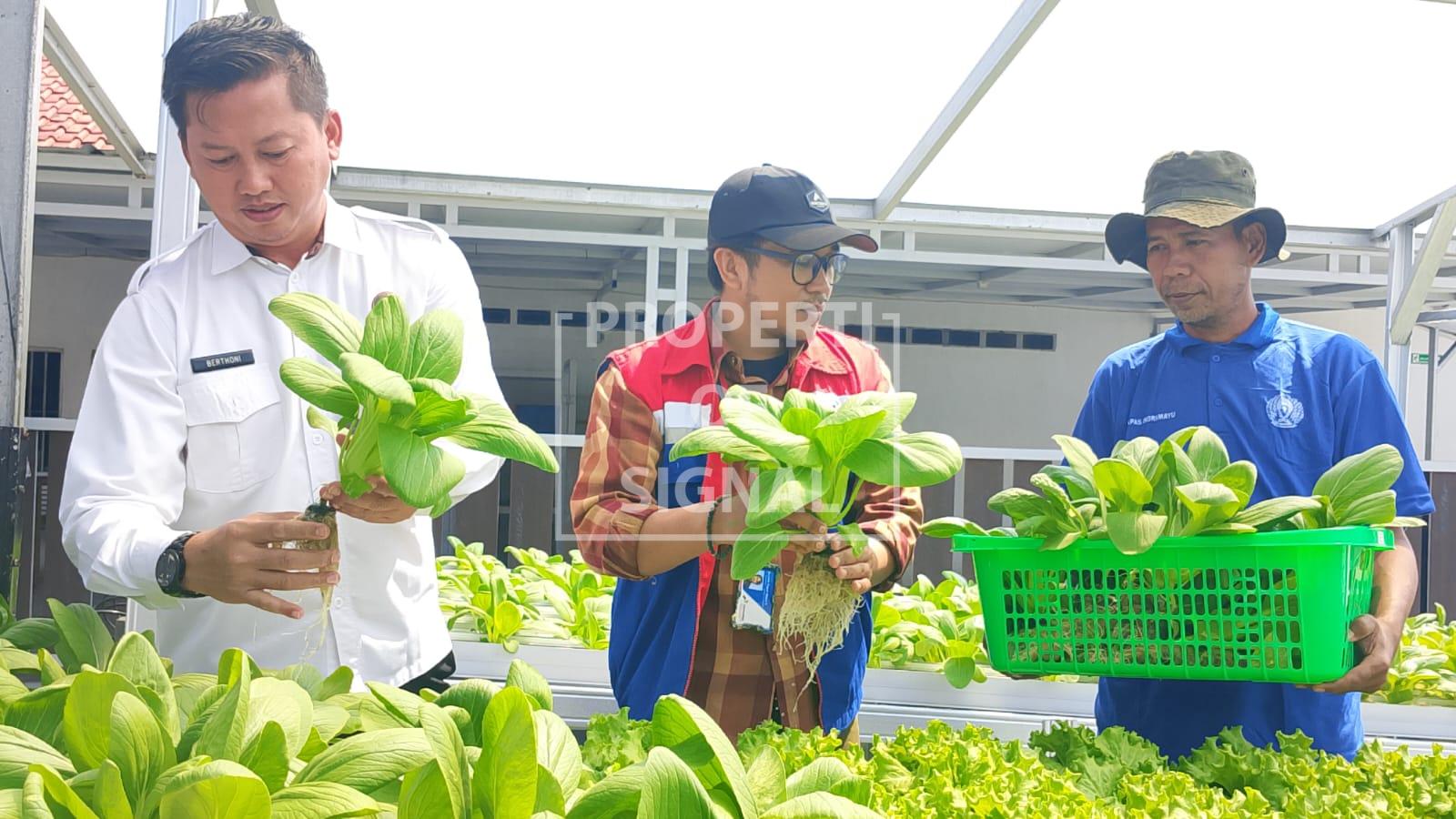 Lapas Kelas IIB Indramayu Terima Kunjungan Tim CSR Pertamina RU VI Balongan Lapas Kelas IIB Indramayu Terima Kunjungan Tim CSR Pertamina RU VI Balongan