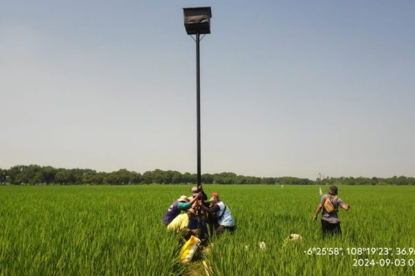 Setelah Lepaskan Ular ke Sawah, Bupati Lucky Hakim Kembangkan Burung Hantu untuk Kendalikan Hama Tikus