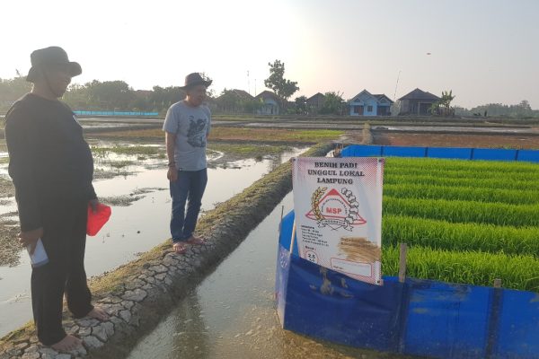 Bupati Lucky Hakim Lepaskan Ular ke Sawah, Anggota DPRD Indramayu Ingatkan Ini