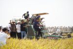 Event Panen Raya Desa Karangmulya, Wamen Pertanian RI Puji Ketangguhan Petani Indramayu