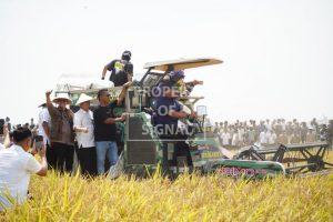Event Panen Raya Desa Karangmulya, Wamen Pertanian RI Puji Ketangguhan Petani Indramayu