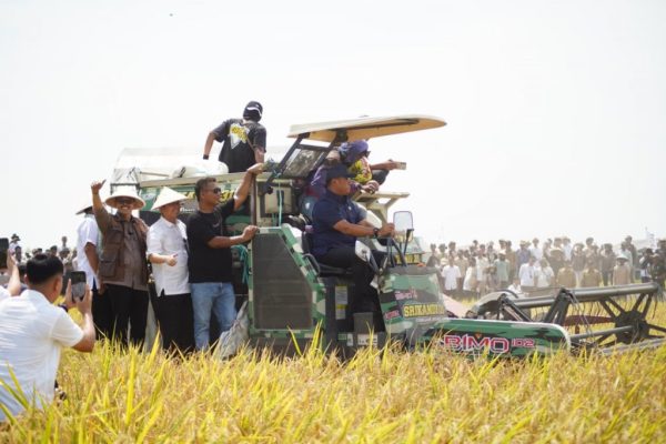 Event Panen Raya Desa Karangmulya, Wamen Pertanian RI Puji Ketangguhan Petani Indramayu