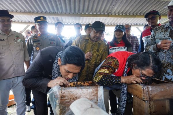 Inovatif! Desa Cemara Kulon Gunakan PLTS Untuk Pengembangan Wisata dan Lingkungan