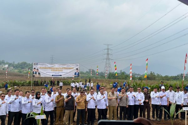 Lapas Indramayu Gelar Penanaman Pohon Kelapa Serentak Dukung Ketahanan Pangan