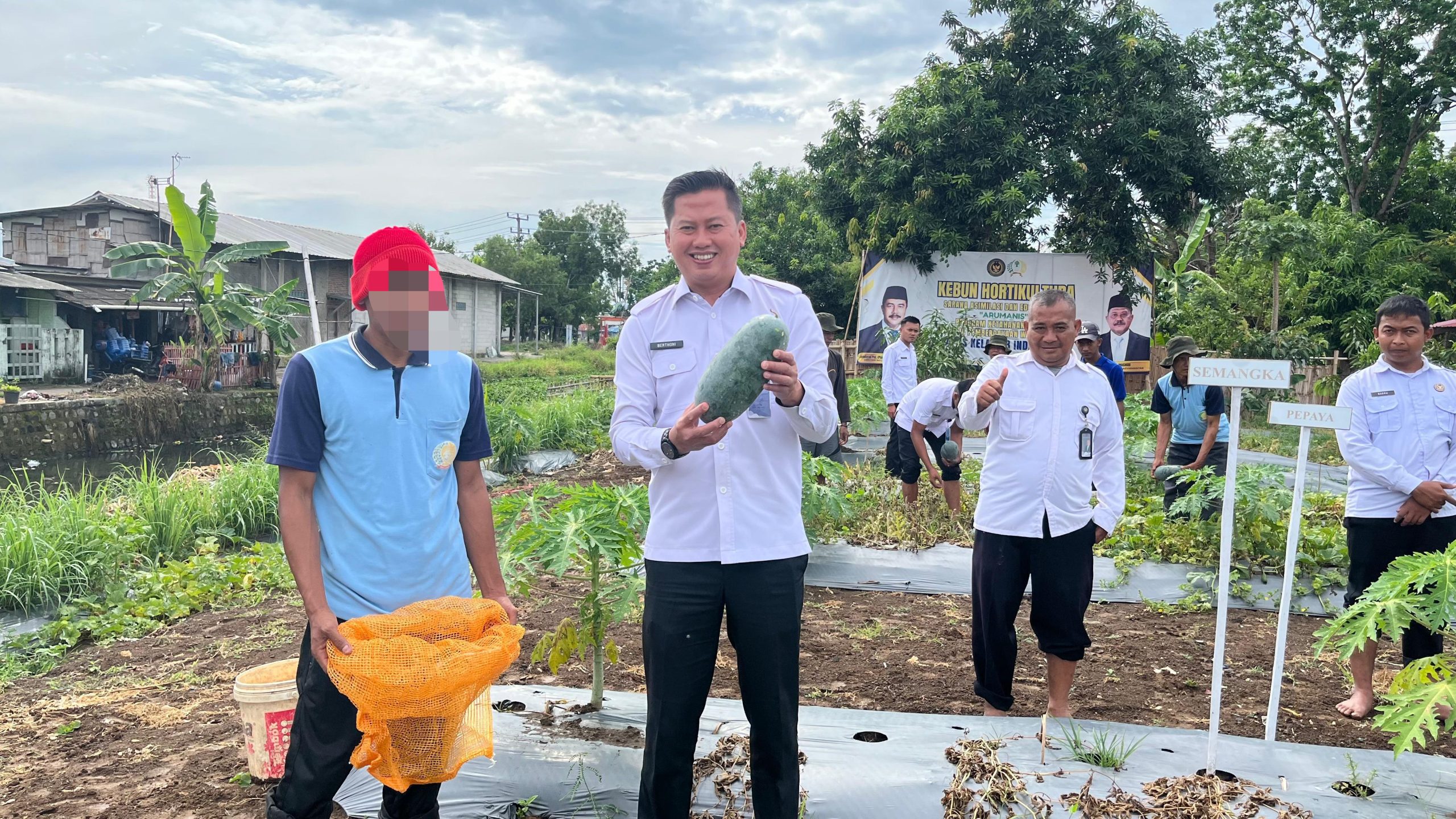 Sulap Lahan Tidur Jadi Produktif, Lapas Indramayu Hasilkan Semangka Melimpah Sulap Lahan Tidur Jadi Produktif, Lapas Indramayu Hasilkan Semangka Melimpah