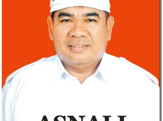 Kembali Ikut Pilwu Desa Pekandangan Jaya, Kuwu Asnali Mengusung Visi : Ada, Dekat dan Melayani ( ADEM )