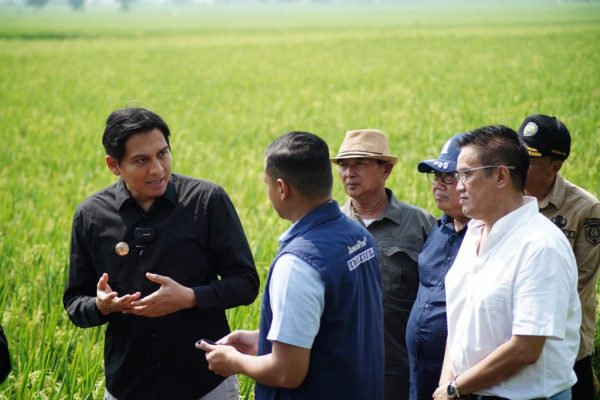 Kurangi Ketergantungan pada Pupuk Kimia, Bupati Lucky Hakim Imbau Petani Gunakan Pupuk Organik
