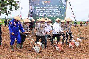 Kabaharkam Polri Pimpin Penanaman Jagung di Indramayu