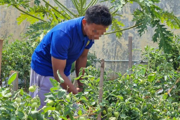 Dari Balik Jeruji, Lapas Indramayu Perkuat Ketahanan Pangan Nasional