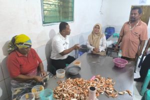 Dari Muara Kali Sewo Menuju Pasar Ekspor, Rajungan Ujunggebang Mendunia