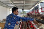 Lapas Indramayu Optimalkan Perawatan Kandang Ayam Petelur, Dukung Ketahanan Pangan