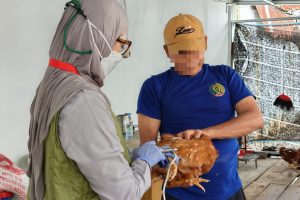 Lapas Indramayu Vaksinasi 186 Ekor Ayam Petelur, Perkuat Ketahanan Pangan dan Pembinaan Warga Binaan