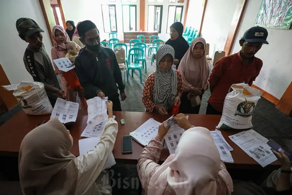Harga Gabah Tinggi Saat Panen Raya Uji Stabilitas Harga Beras Kuartal II/2026