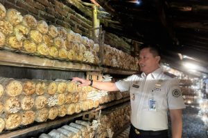 Lapas Indramayu Studi Tiru Pengolahan Jamur di Desa Binaan Malang Semirang, Siapkan Program Kemandirian Warga Binaan