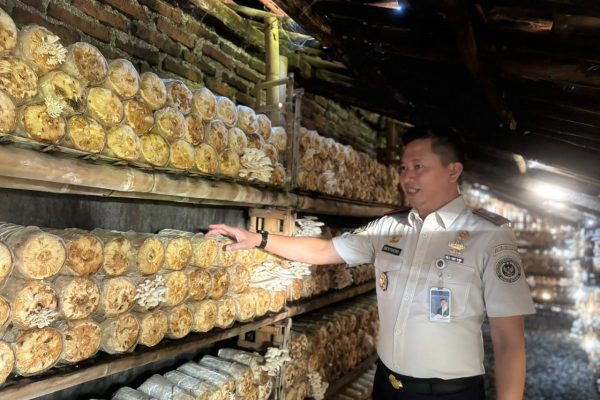 Lapas Indramayu Studi Tiru Pengolahan Jamur di Desa Binaan Malang Semirang, Siapkan Program Kemandirian Warga Binaan