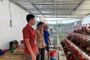 Rawat Lahan dan Peternakan, Lapas Indramayu Optimalkan Program Ketahanan Pangan