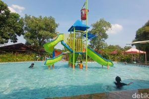 Agrowisata Situ Bolang, Rekomendasi Wisata Keluarga di Indramayu